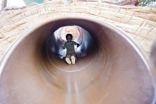 Disneyland Family Photography