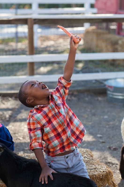 white rabbit photo boutique cal poly pomona farm store-3483